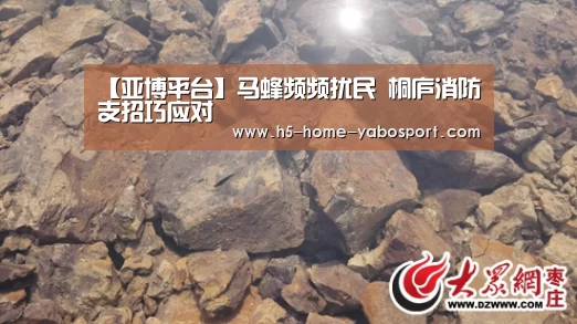 【亚博平台】马蜂频频扰民 桐庐消防支招巧应对(图3) 亚博app