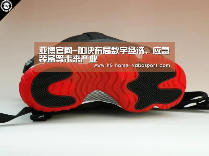 亚博官网-加快布局数字经济、应急装备等未来产业(图2) 亚博官网
