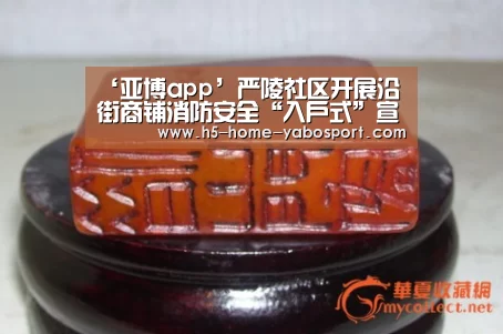 ‘亚博app’严陵社区开展沿街商铺消防安全“入户式”宣传工作(图2) 亚博官网