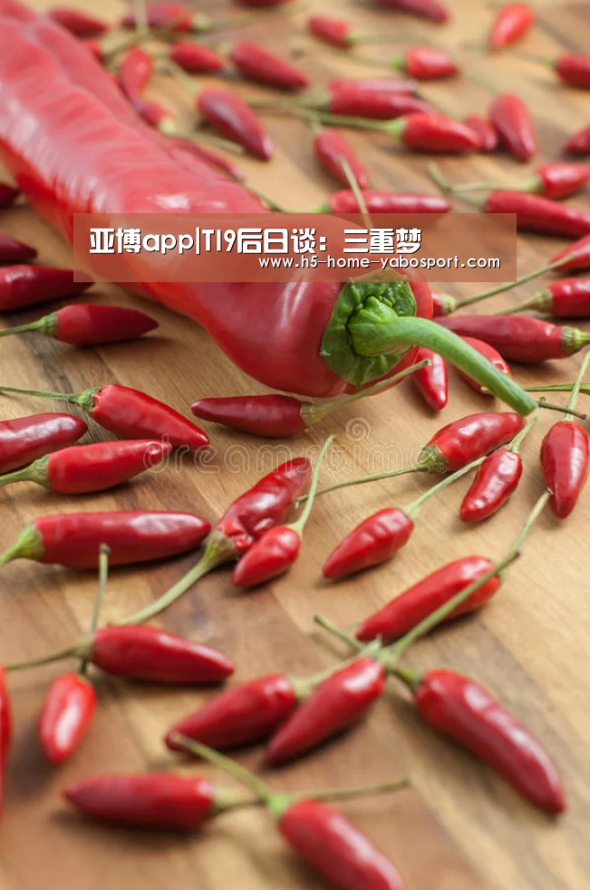 亚博app|TI9后日谈:三重梦(图2) 亚博官网